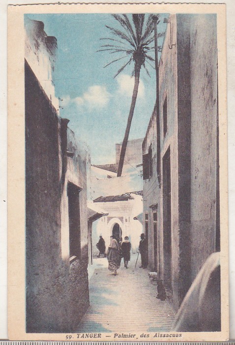 bnk cp Maroc - Tanger - necirculata