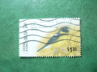 Timbru Hong Kong 1997 - Pasare migratoare , val. 1,3$ stampilat foto
