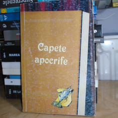 Preot CONSTANTIN DOGARU - CAPETE APOCRIFE , 2004 #