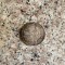 Moneda 100000 Lei Mihai I 1946 - -