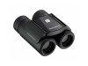 Olympus 10x21 rcii dark silver