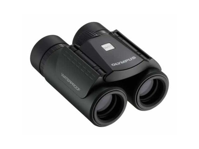 Olympus 10x21 rcii dark silver