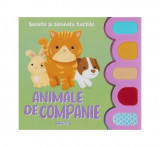 Sunete și senzații tactile. Animale de companie - Hardcover - *** - Girasol