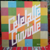 -Y- CELELALTE CUVINTE ( CITITI DESCRIEREA ) DISC VINIL LP, Rock