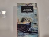 Elevul Dima dintr-a saptea de Mihail Drumes