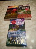 OKAZIE!! TREI ROMANE DIN SERIA "VIRGIN RIVER", AUTOR ROBYN CARR