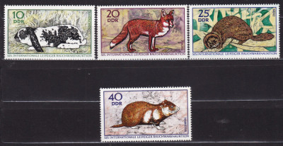 GERMANIA FAUNA ANIMALE SERIE MNH foto