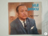 Sile Dinicu-Nopti cu luna