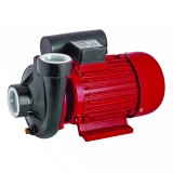Pompa de apa 1500W RD-2DK20