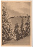 CPIB 22195 - CARTE POSTALA - POSTAVARUL. PEISAJ DE IARNA, RPR