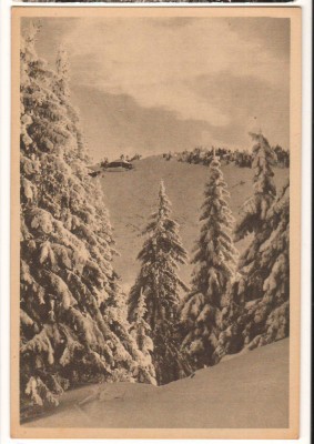 CPIB 22195 - CARTE POSTALA - POSTAVARUL. PEISAJ DE IARNA, RPR foto