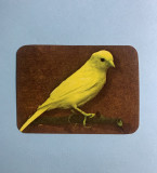 Calendar 1992 Păsări
