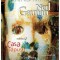 Sandman, vol. 2: Casa papusii &ndash; Neil Gaiman
