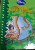 DESCOPERA ANIMALELE JUNGLEI CU MOWGLI
