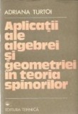 Aplicatii ale algebrei si geometriei in teoria spinorilor