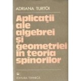 Aplicatii ale algebrei si geometriei in teoria spinorilor