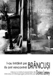 L-au &icirc;nt&acirc;lnit pe Br&acirc;ncuși / Ils ont rencontr&eacute; Br&acirc;ncuși (ediție bilingvă rom&acirc;nă-franceză) - Paperback brosat - Doina Lemny - Vremea