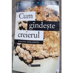 Cum gandeste creierul. Evolutia inteligentei - William H. Calvin