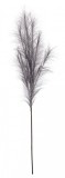 Set 12 crengute Pampas 20x100 cm