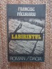 FRANCISC PACURARIU - LABIRINTUL