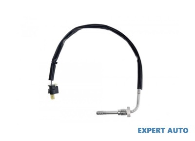 Senzor temperatura gaze dpf Mercedes C-Class (2007-2014) [W204] #1 foto