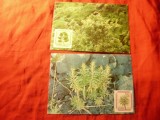 2 Maxime Azore 1981 si 1982 Flora nationala