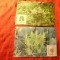 2 Maxime Azore 1981 si 1982 Flora nationala