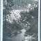 122 - Zabala / Zabola Haromszek VM. - Covasna / carte postala vedere, anii 1940