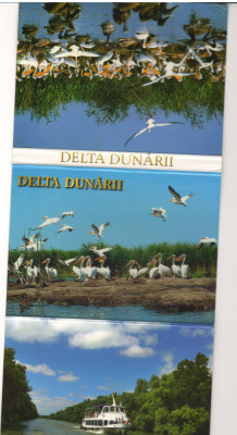 CPIB 15401 - PLIANT CU 14 CARTI POSTALE - DELTA DUNARII foto