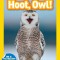 National Geographic Readers: Hoot, Owl!