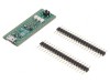 Placă Prototip Microchip PIC32MZ MINI-32