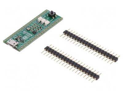 Placă Prototip Microchip PIC32MZ MINI-32 foto