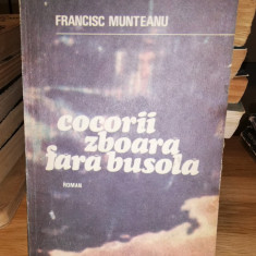 Cocorii zboara fara busola - Francisc Munteanu
