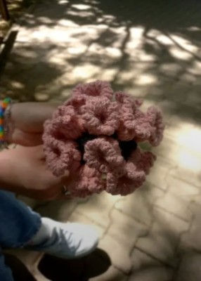 Coster Crosetat foto