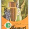 Bauturi spumante in gospodarie - Ion M. Pusca