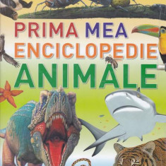 Prima mea enciclopedie – Animale - Hardcover - Litera