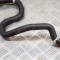 Furtun de lichid de răcire TOYOTA C-HR _X1_ 2020 OEM: G922A-F4010-C 13503291