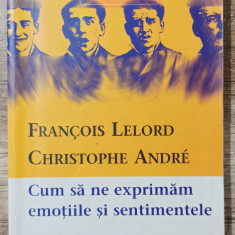 Cum sa ne exprimam emotiile si sentimentele - Francois Lelord, Christophe Andre