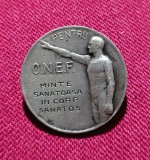 Insigna regalista ONEF
