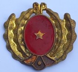 Insigna, GP-Garzile Patriotice