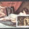 Guyana 1990 Painting perf sheet used L.080