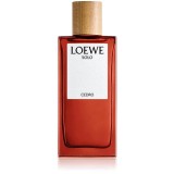 Loewe Solo Cedro Eau de Toilette pentru bărbați 100 ml, Apa de toaleta