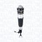 MAGNETI MARELLI 350039000001 Brat arc pneumatic
