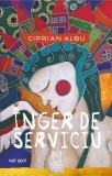 &Icirc;nger de serviciu - Editura Lebada Neagra