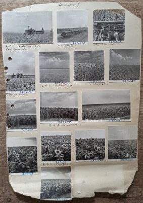 Agricultura, GAS Grivita Rosie si Pietroiu, regiunea Bucuresti// Fototeca foto