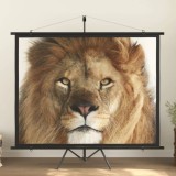 Ecran de proiecție cu trepied 100&quot; 4:3