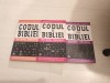 Michael Drosnin - Codul Bibliei, Carti crestinism