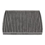 Filtru polen carbon, habitaclu ASTER Italia, Fiat 500 (312) 2007-, 500 C (312) 2009-, Panda (169) 2003-2012; Ford Ka (Ru8) 2008-2015; Lancia Ypsilon