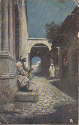 bnk cp Egipt - Vedere - carte postala necirculata foto