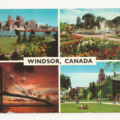 CN1 - Carte Postala - CANADA, Windsor, Circulata